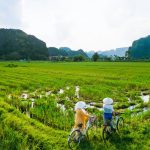 Voyage en couple de noce Vietnam