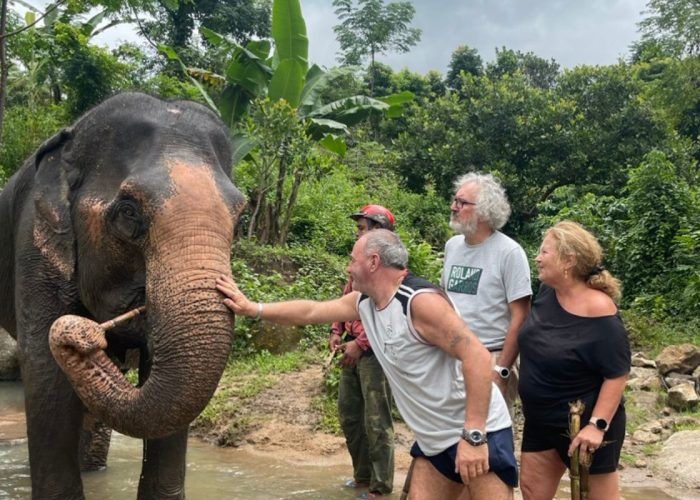 balade avec des éléphants au Vietnam Hauts Plateaux