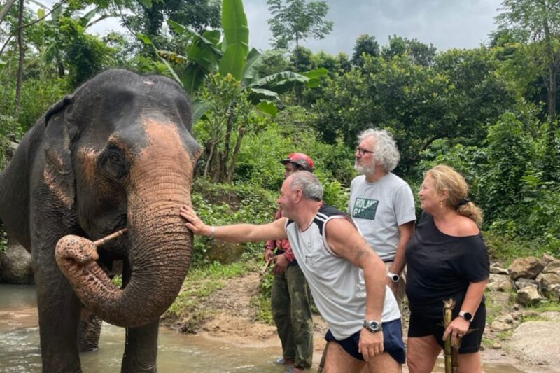 balade avec des éléphants au Vietnam Hauts Plateaux