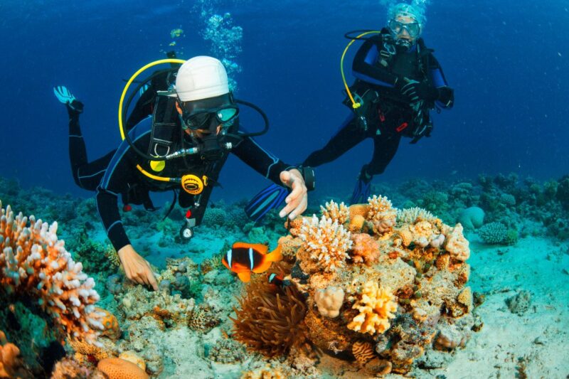 L'isola della Balena: un'oasi di biodiversità a Nord di Nha Trang