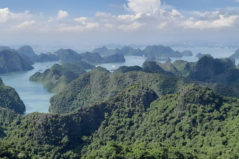 Parc national de Cat Ba vu d'en haut