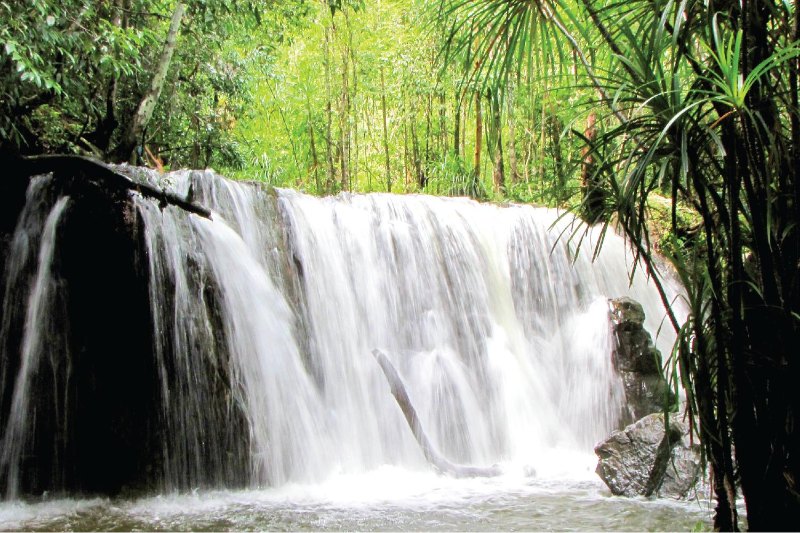 Randonnée vers la cascade de Suoi Tranh est toujours parfait