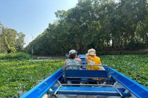 la forêt de cajeput de tra su