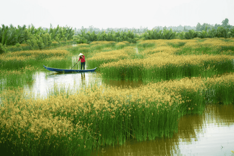 viaggio su misura - delta del mekong vietnam