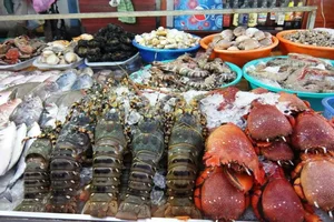 Frutti di mare di Ha Long (Fonte: guidefrancophoneauvietnam)