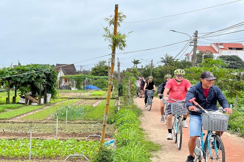 Paseo en bicicleta por los arrozales de Hoi An. Fuente: Tạp chí Nông Nghiệp Việt.
