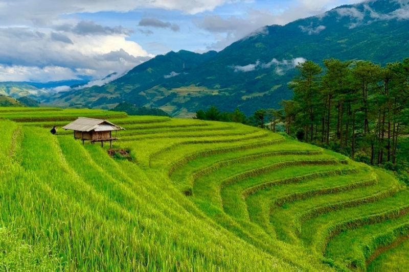 La routes photographes à Mu Cang Chai