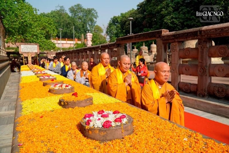 la pagode bo de dao trang (1)