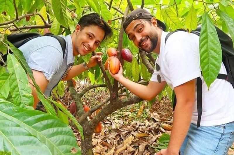 ferme de cacao biologique à can tho