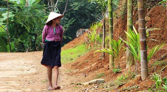 menu2 montagnes nord du vietnam