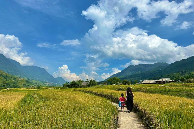 viaggio a sapa, nel nord del vietnam - vaccini per il vietnam