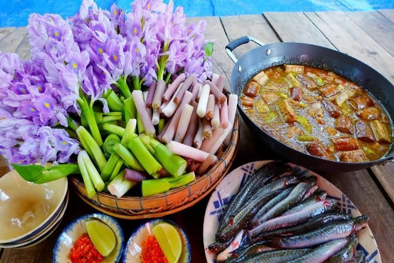zuppa in brodo con i fiori dei giacinti d acqua