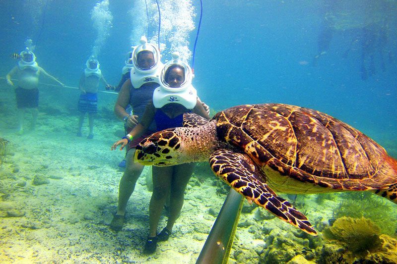 Seatrek a Cu Lao Cham, Vietnam.