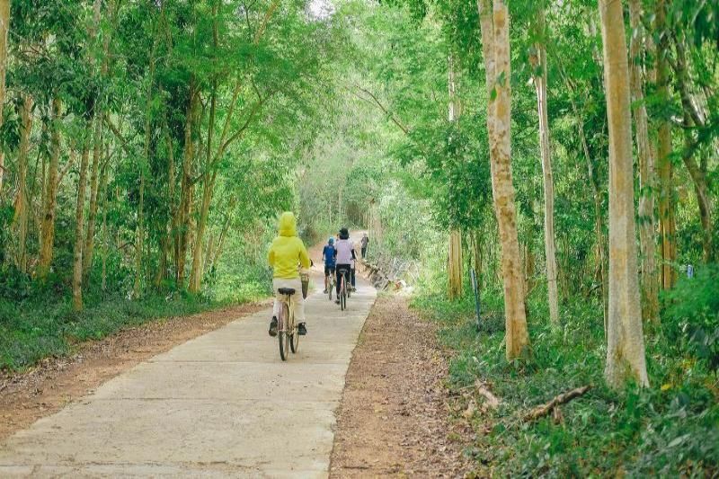 andare in bicicletta nel parco nazionale di cat tien (bach hoa xanh)