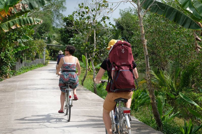 andare in bicicletta tra le risaie del delta