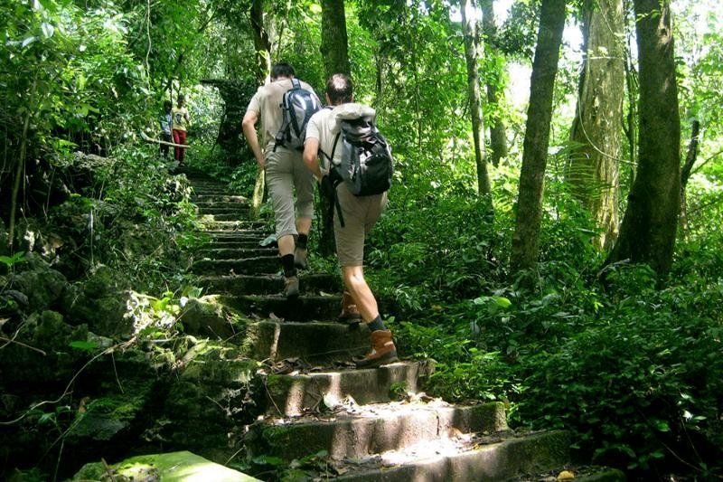 trekking nella foresta