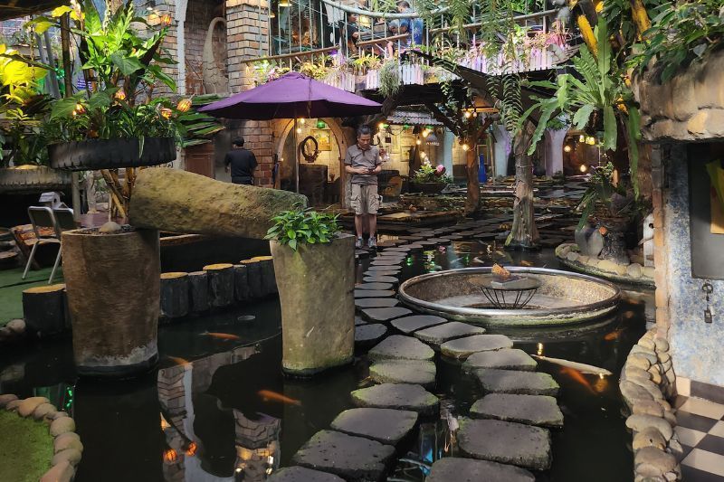 caffè con carpe koi