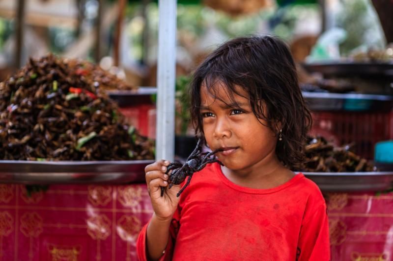 i bambini mangiano i ragni al mercato di skun in cambogia