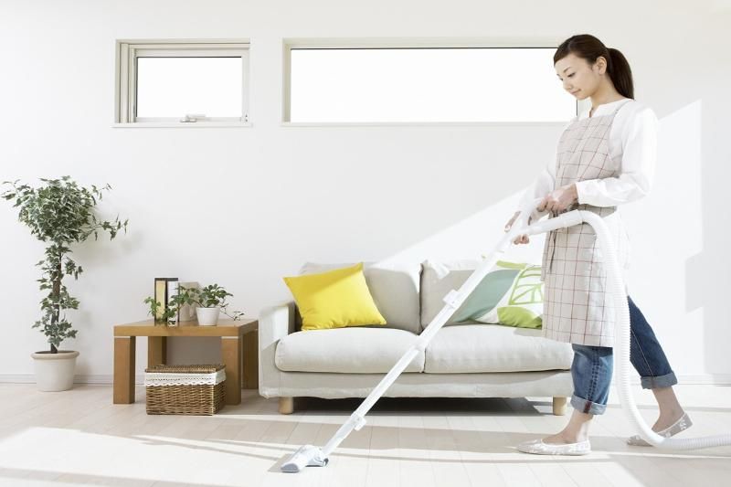 Pulizia degli articoli