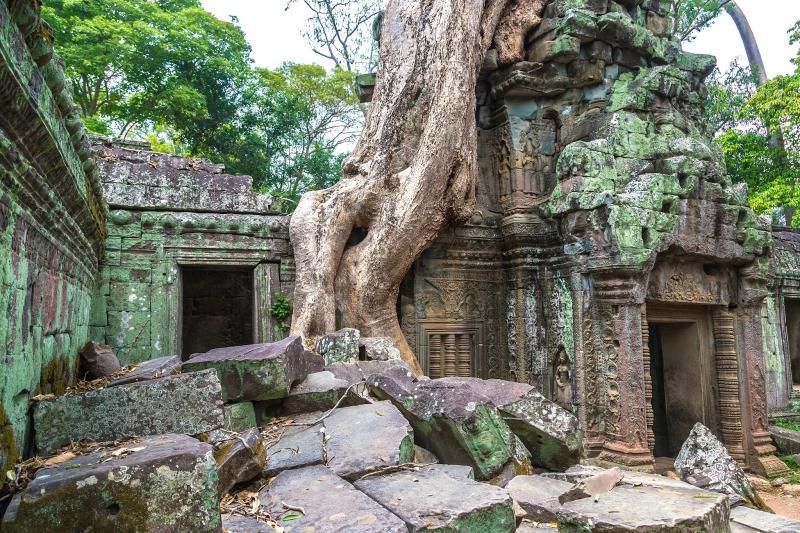 la bellezza magica del tempio di Ta Prohm