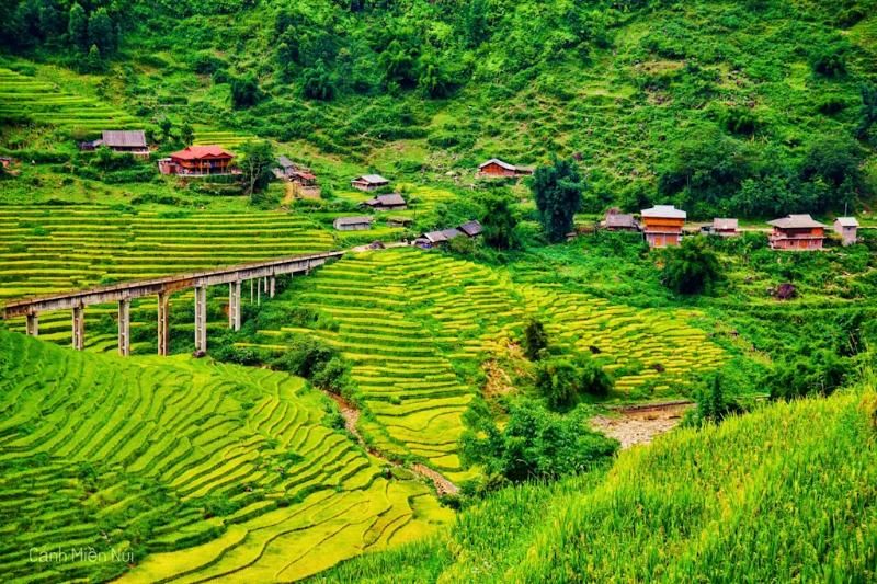 paysage du montagne au nord vietnam - Itinéraire de 15 jours