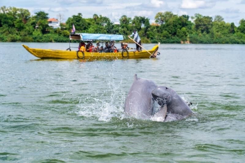 circuit cambodge - balade en barque sur le mékong à la rencontre des dauphins