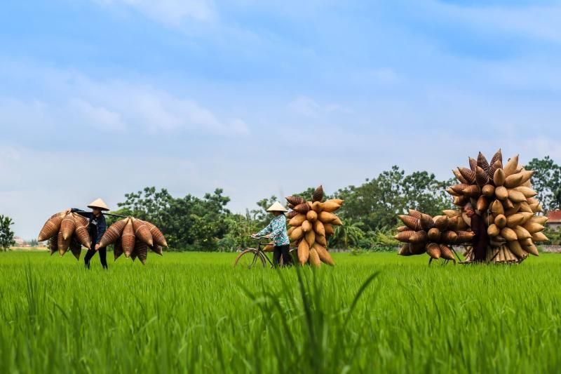 la poésie de la campagne traditionnelle du nord du vietnam (source : Du lịch Hưng Yên)