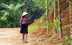 dans-un-village-au-nord-du-vietnam-300x188