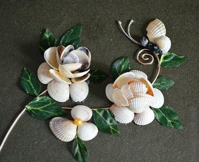 pittura di conchiglie